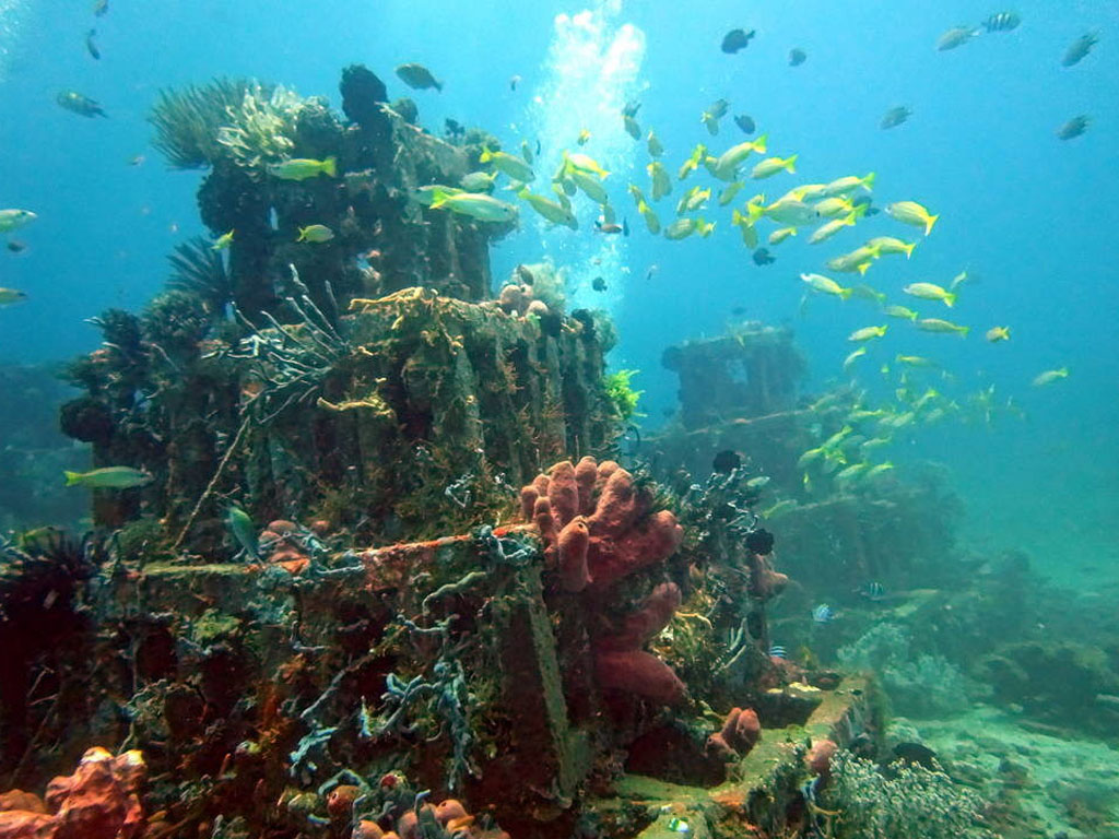 épave USS LIBERTY, site de plongée mondial qui fait parti des incontournables de Bali