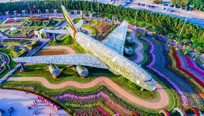 Une activités à faire à Dubai, le parc qui est un jardin temple de coukedans lesquel un avion a été fabriqué tout en fleurs