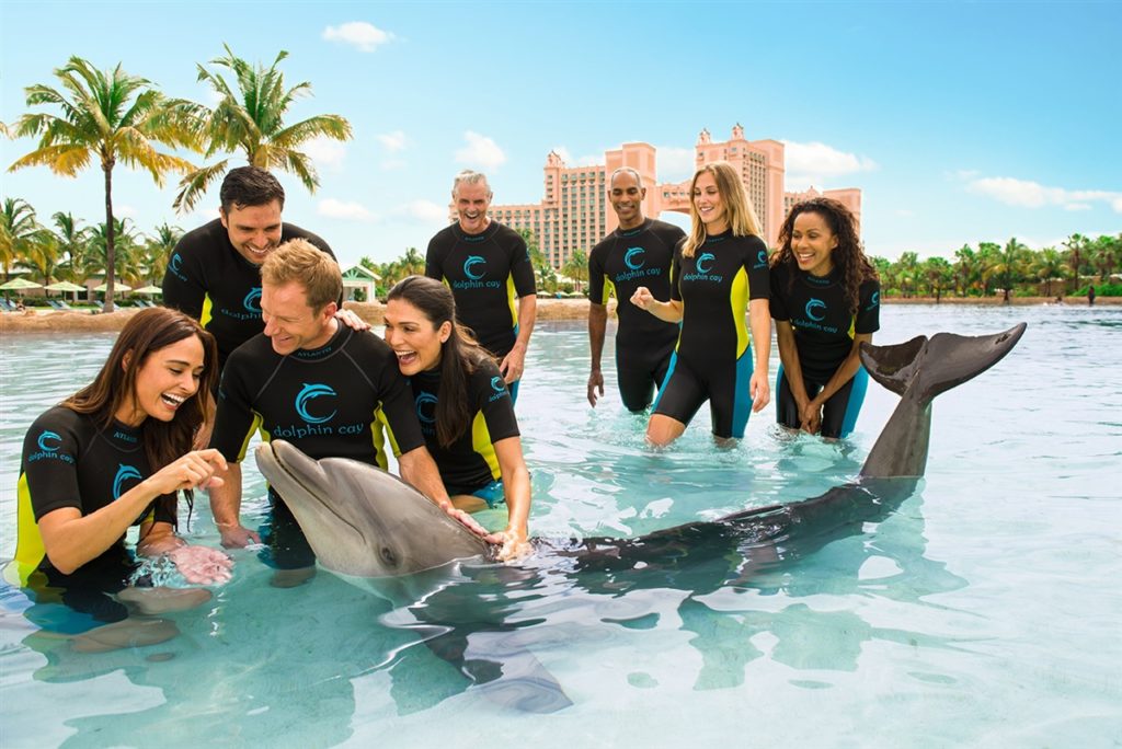 8 personnes se tenant devant un dauphin dans une piscine pour le caresser. En fond de toile il y a l'atlantis. Nager avec les dauphins est l’une des activités à faire à Dubai.