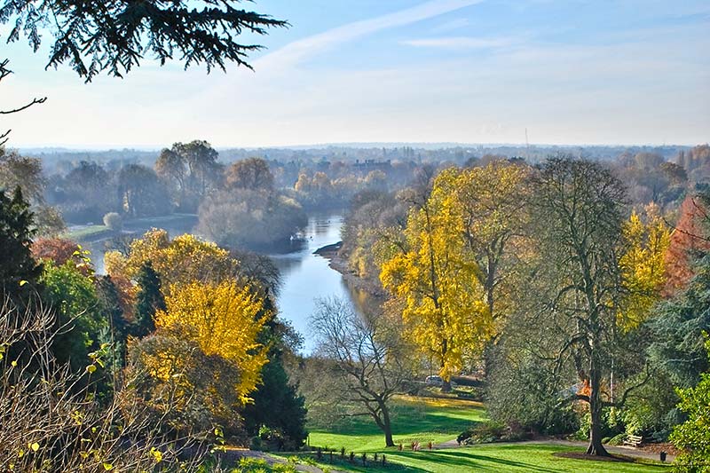 Richmond Park, un des plus beaux parcs de Londres  