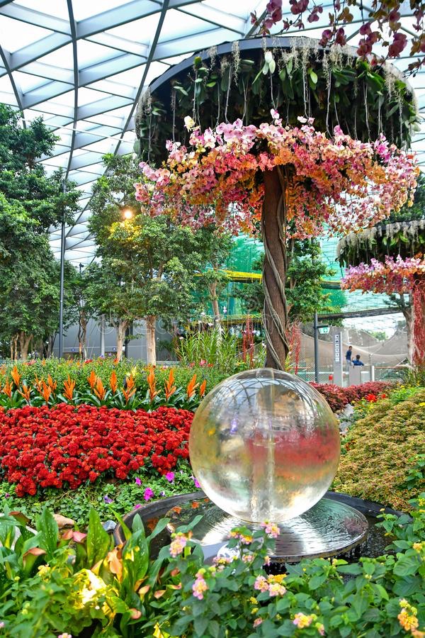 Jardins de fleurs colorées à l’Aéroport Changi de Singapour
