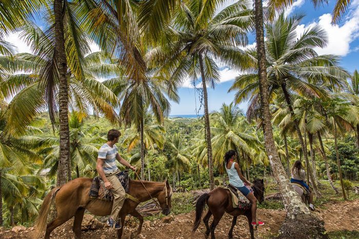 Activité balade en cheval dans la jungle en République Dominicaine