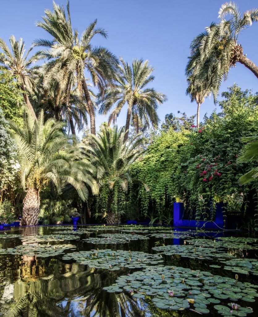 Jardin Majorelle à Marrakech