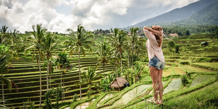 Rizières de Bali, Indonesie