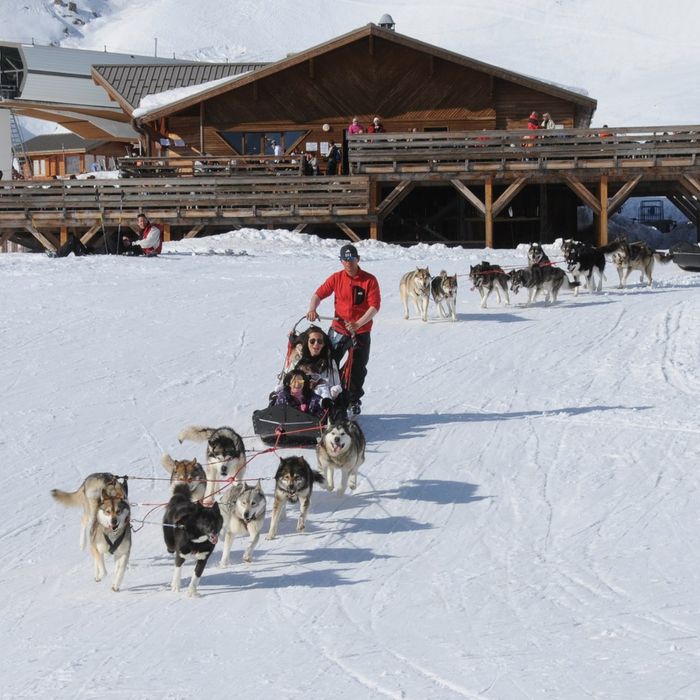 Balade en chiens de traineau, station de ski