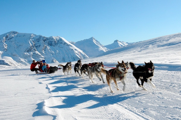 Balade en chiens de traineau, station de ski