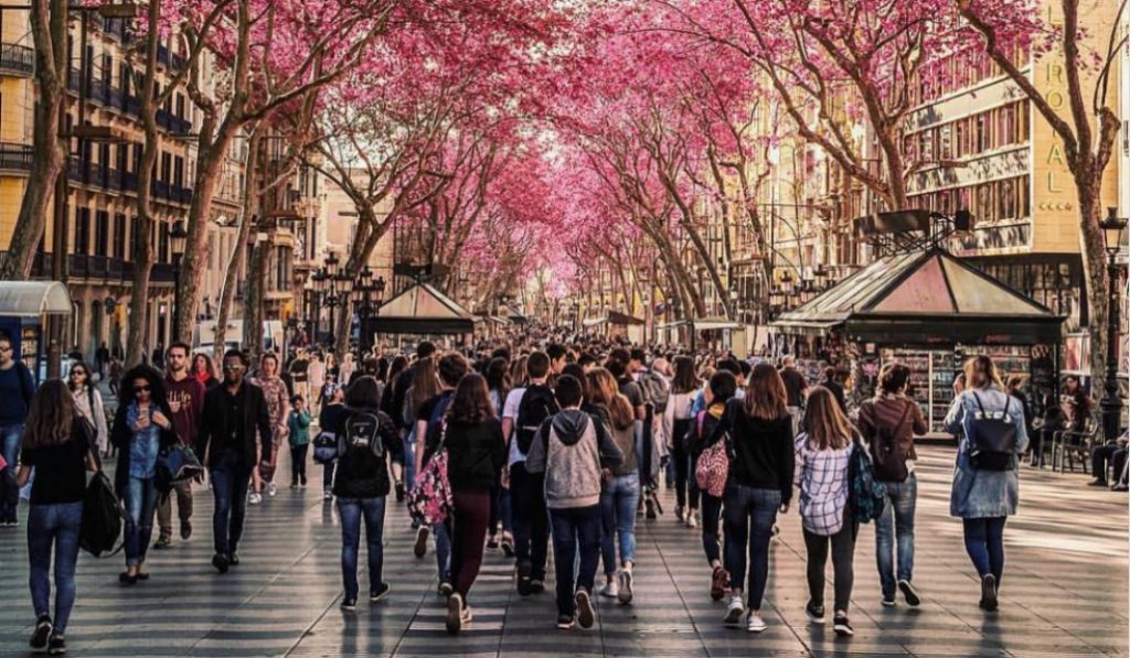 Las Ramblas, l'avenue la plus populaire pour se promener à Barcelone