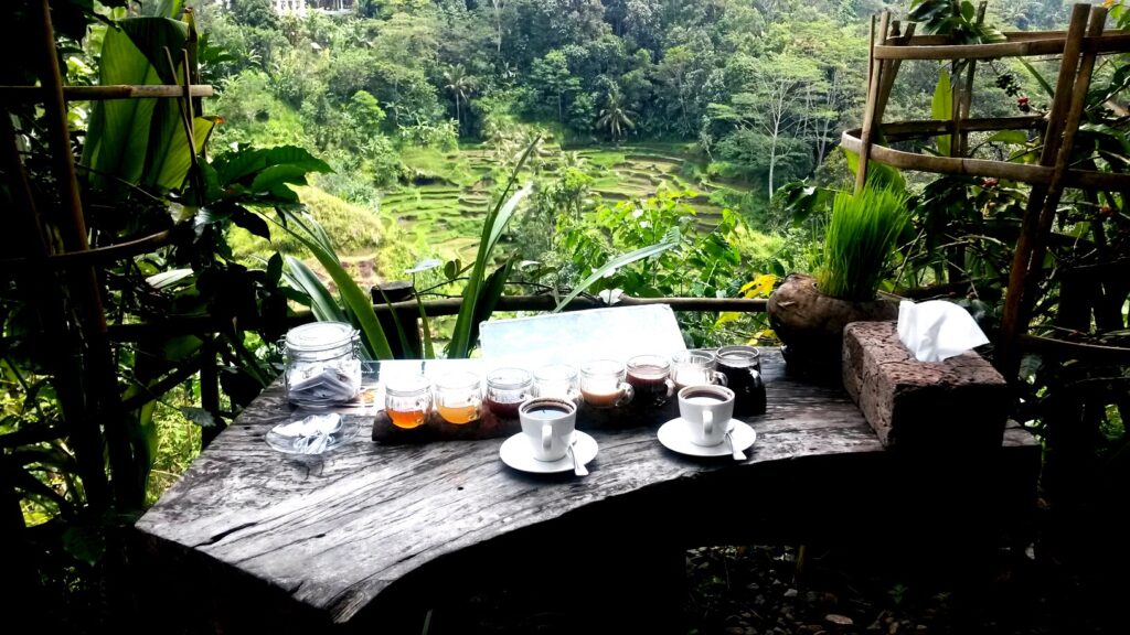 Une des choses à faire à Ubud est de visiter une plantation de café