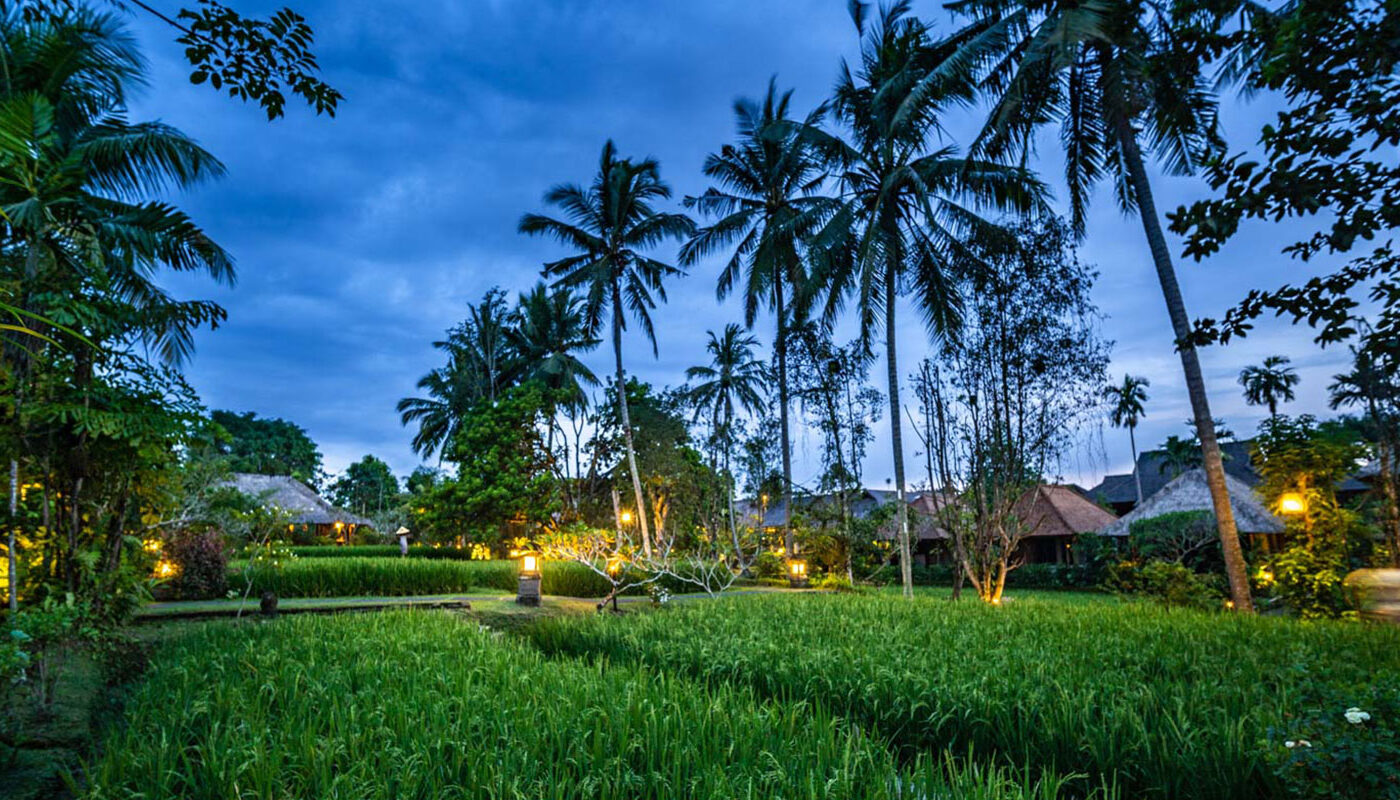 Ananda Ubud Resort offre un cadre magnifique avec une vue panoramique sur les rizières en terrasses 