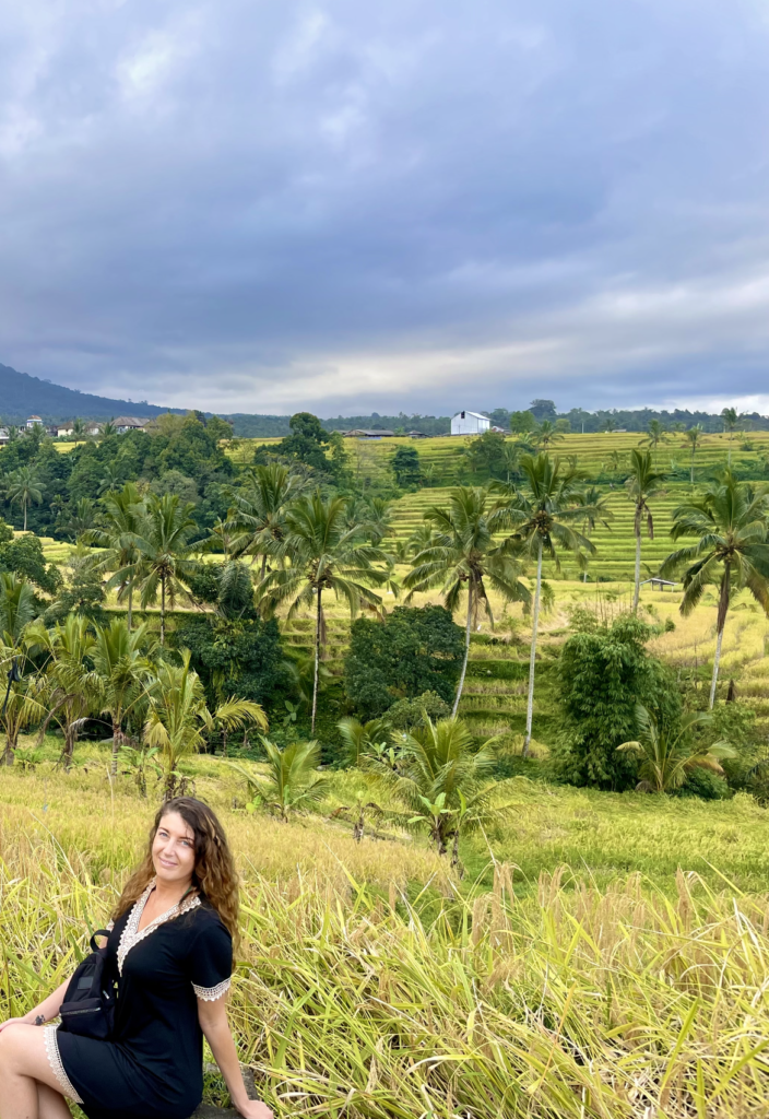 Les rizières en terasses de Jatiluwih à Bali