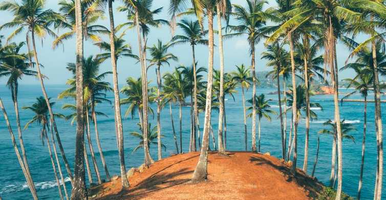 La plage de Mirissa au Sri Lanka, une des plus belles de l'île